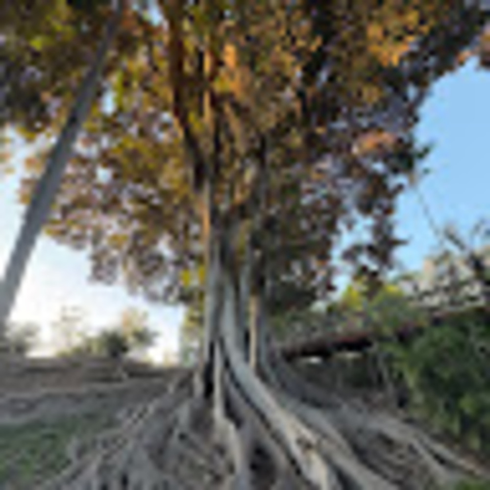 Meet your Posher, Iolanda